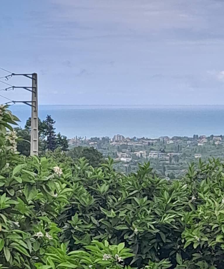 زمین ویو کوه و دریا جهت انبوه سازی