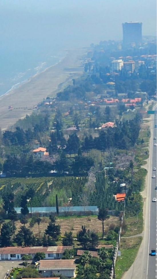 ۲۰۰۰متر ساحلی تک برگ سلامت